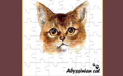 Abyssinian Puzzle Challenge logo