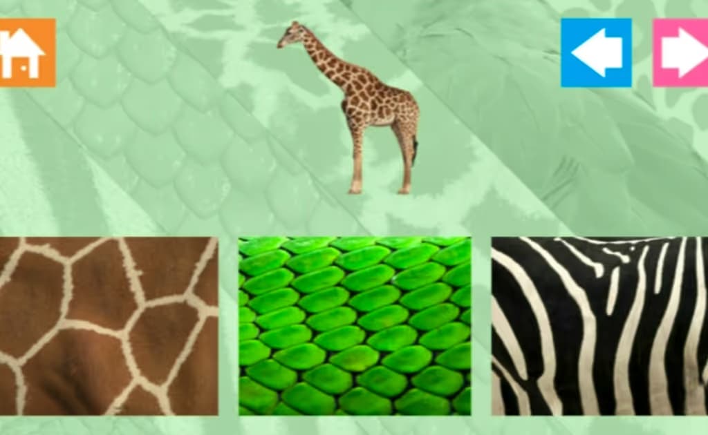 Animal Skins logo