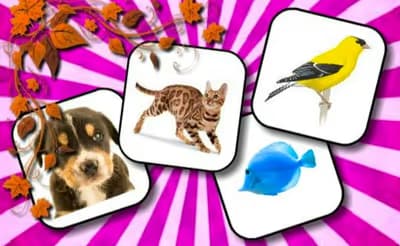 Animals Memory Game logo