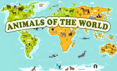 Animals of the World logo