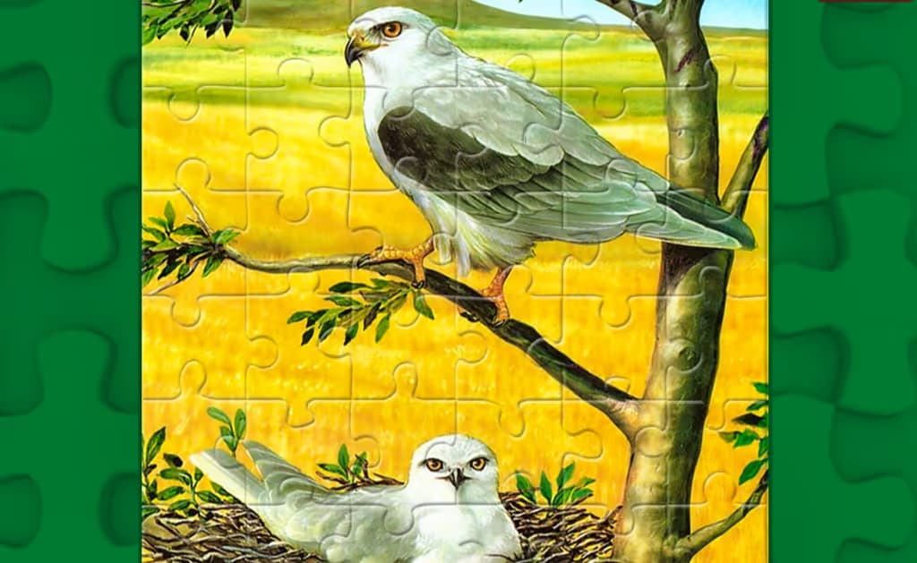 Birds of Prey Puzzle logo