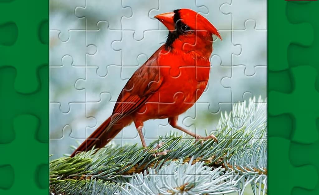 Birds Puzzle logo