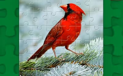 Birds Puzzle logo