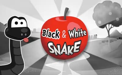 Black & White Snake logo
