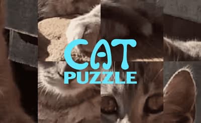 Cat Puzzle logo