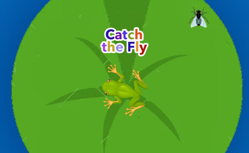 Catch the Fly logo