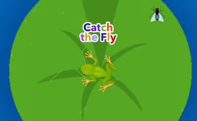 Catch the Fly logo