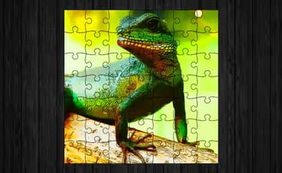 Chinese Water Dragon Jigsaw logo