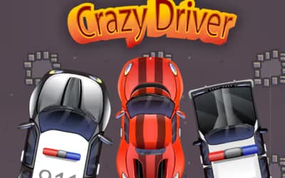 Crazy Driver Police Chase logo