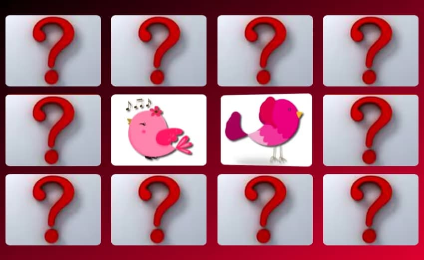 Cute Birds Memory logo