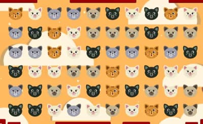Cute Kitty Match 3 logo