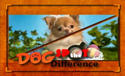Dog Spot the Difference logo