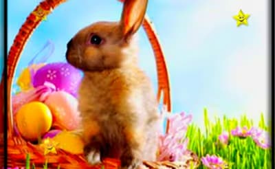 Easter Time Hidden Stars logo