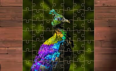 Exotic Animals Jigsaw logo