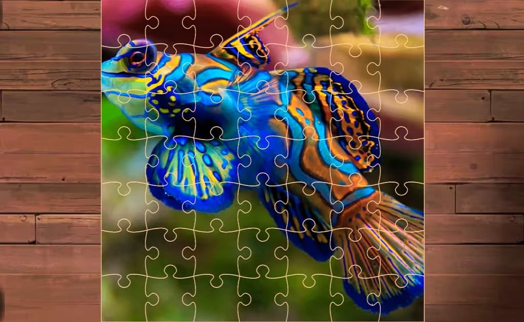 Exotic Sea Animals Jigsaw logo