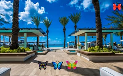 Find 100 Butterflies logo