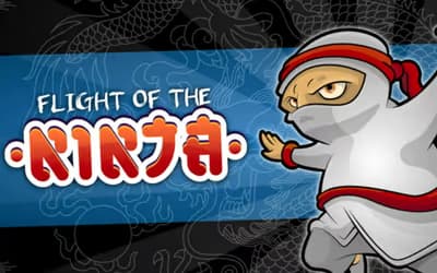 Flight of the Ninja logo