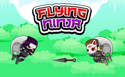 Flying Ninja logo