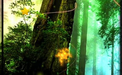 Forest Hidden Stars logo
