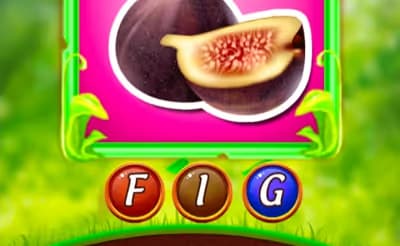 Fruit Surprise logo