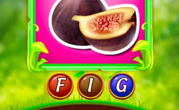 Fruit Surprise logo