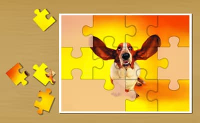 Funny Cats and Dogs Jigsaw Puzzle logo