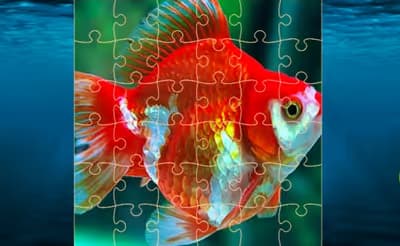 Gold Fish Jigsaw Puzzles logo