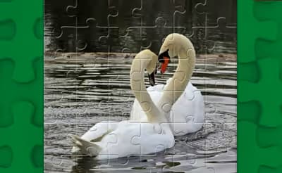 Graceful Swans Puzzle logo