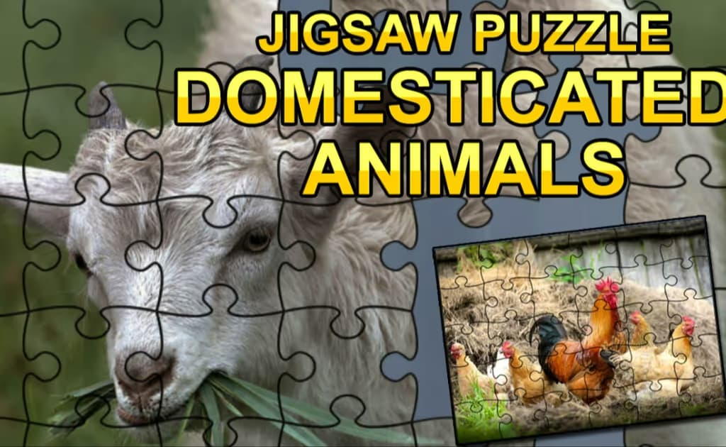 Jigsaw Puzzle: Domesticated Animals logo