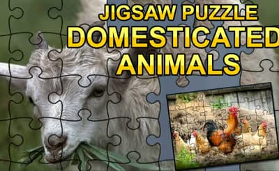 Jigsaw Puzzle: Domesticated Animals logo