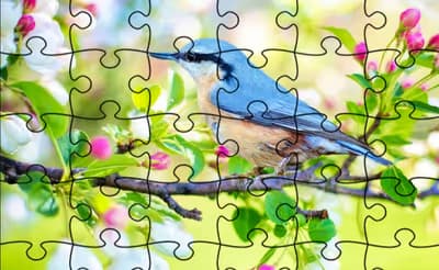 Jigsaw Puzzle - Spring logo
