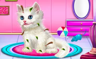 Kitty Care and Grooming logo