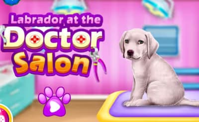 Labrador at the Doctor Salon logo