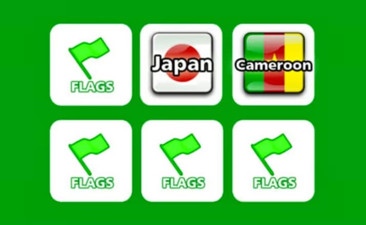 Memory Flags logo