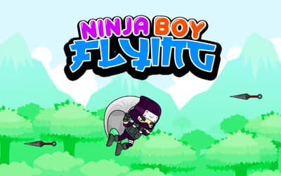 Ninja Boy Flying logo