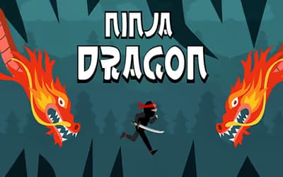 Ninja Dragon logo