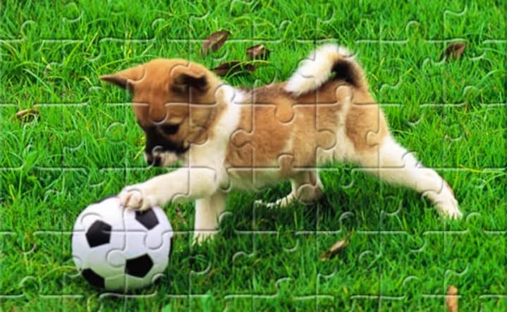 Playful Puppy Outdoor Puzzle logo