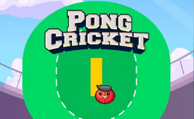 Pong Cricket logo