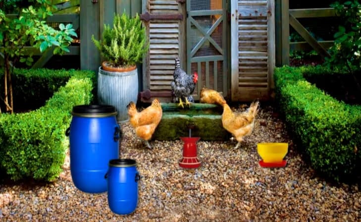 Poultry Farm Easter Escape logo