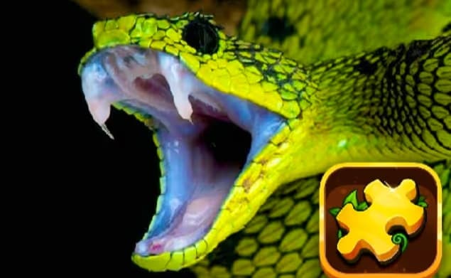Snake Puzzle Challenge logo