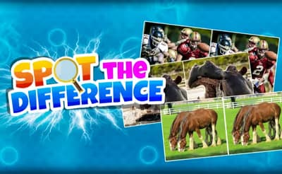 Spot The Difference Game logo