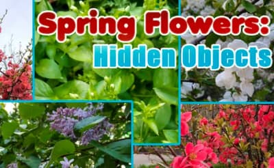 Spring Flowers: Hidden Objects logo