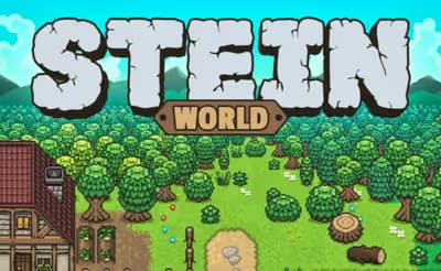 stein.world logo