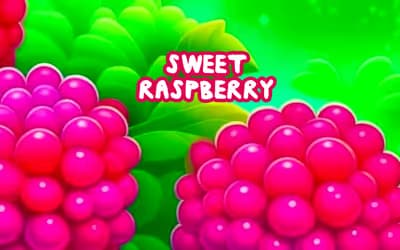 Sweet Raspberry logo