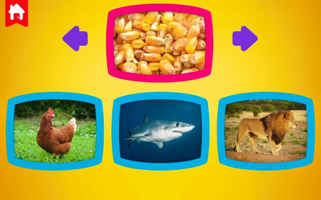 What do animals eat? logo
