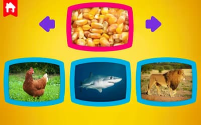 What do animals eat? logo