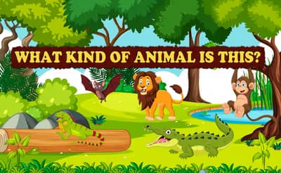 What Kind of Animal is This logo