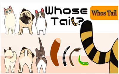 Whose Tail logo